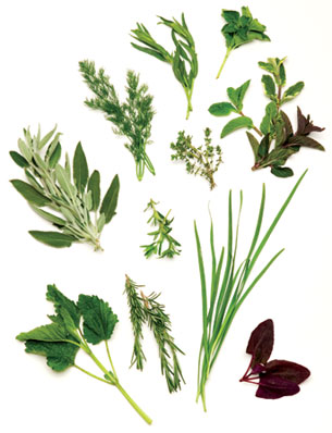 Natural Herbs